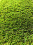 Space 40mm Artificial Grass - Trade 4 Less - Building Supplies UK
