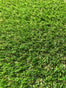 Beyond 38mm Artificial Grass - Trade 4 Less - Building Supplies UK