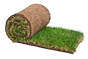 Gold Standard Turf (Roll) - Trade 4 Less - Building Supplies UK