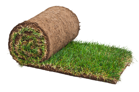 Gold Standard Turf (Roll) - Trade 4 Less - Building Supplies UK