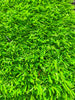 Bright Green Coloured Artificial Grass (Short) - Trade 4 Less - Building Supplies UK